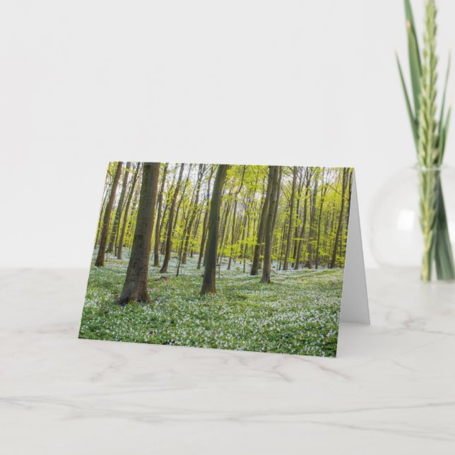 Spring to Life Card (Front)