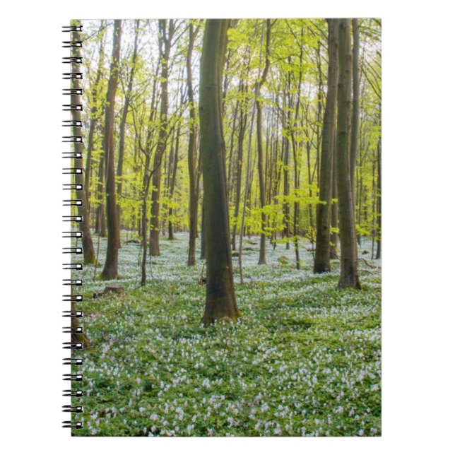 Spring to Life Notebook (Front)