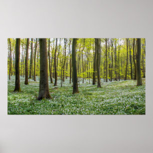 Spring to Life Poster