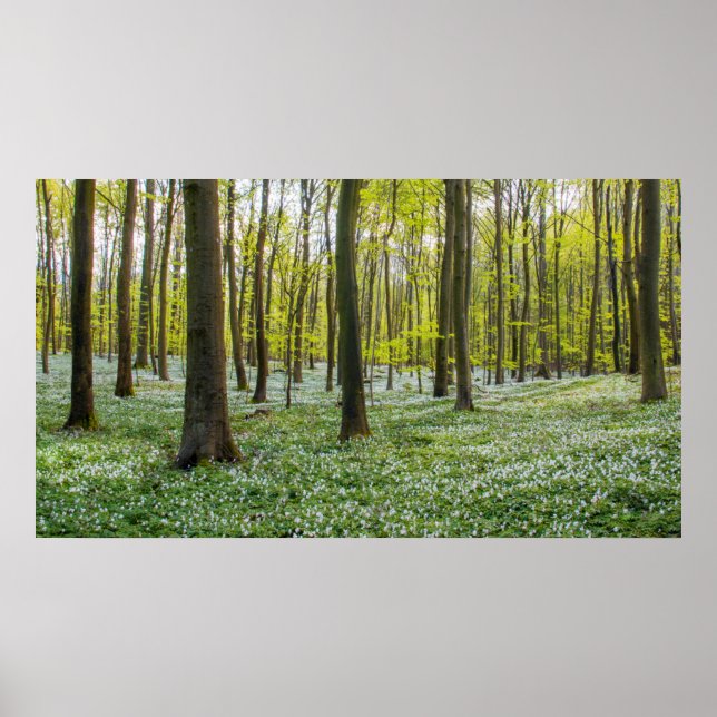 Spring to Life Poster (Front)