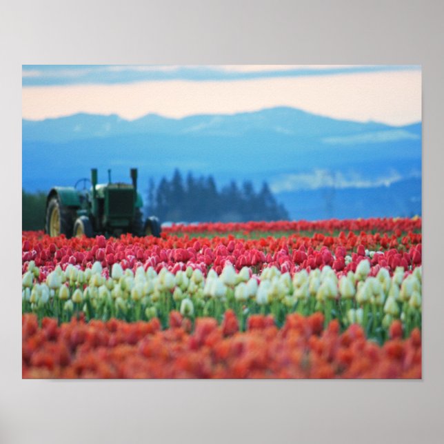 Spring Tractor Poster (Front)