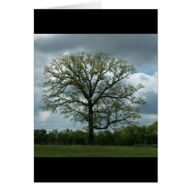 Spring Tree Card (Front)