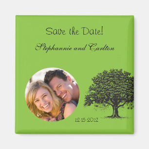 Spring Tree Green/Black Announcement Magnet