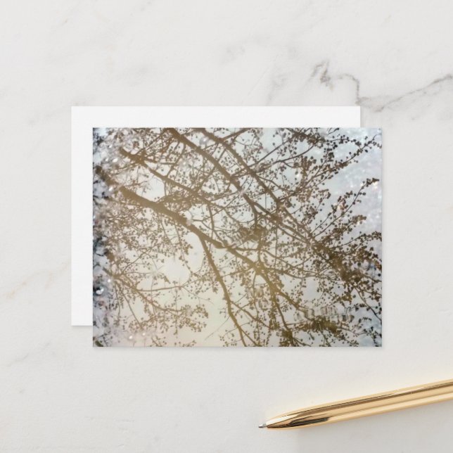 Spring Tree Reflections Bike Path Puddle Canada Postcard (Front/Back In Situ)