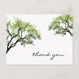 Spring Trees Silhouette Postcard