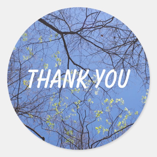 Spring Trees Thank You Classic Round Sticker (Front)