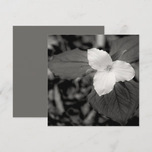 Spring Trillium Black and White Card