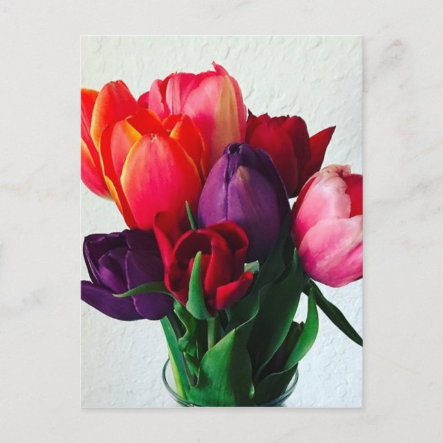 Spring Tulip Bouquet Postcard (Front)