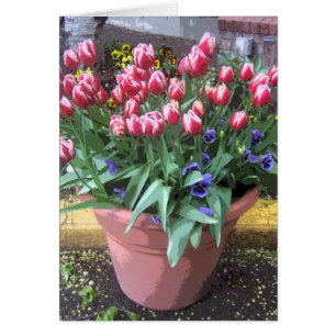 Spring Tulip Clay Pot