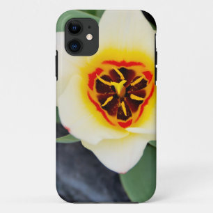 Spring Tulip Close-Up Photo Case-Mate iPhone Case