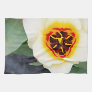 Spring Tulip Close-Up Photo Tea Towel