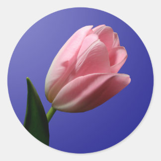 Spring Tulip Envelope Seal Sticker