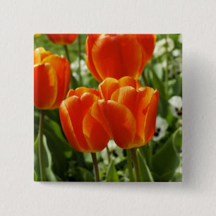Spring Tulip Garden 15 Cm Square Badge