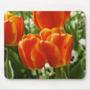 Spring Tulip Garden Mouse Pad