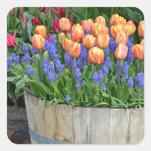 Spring tulip garden print sticker (Front)