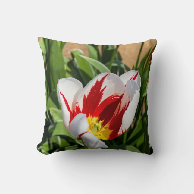 Spring Tulip Throw Pillow (Front)