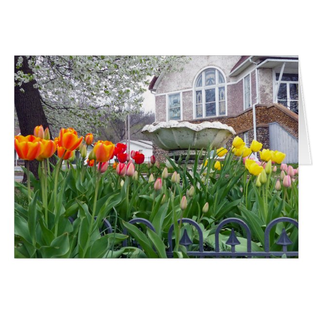 Spring Tulips (Front Horizontal)