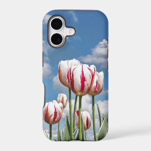 Spring Tulips