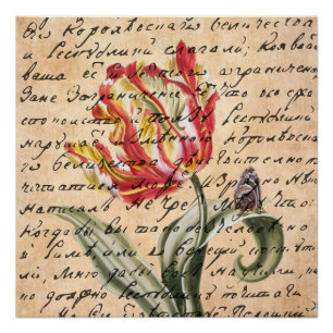 Spring Tulips and Handwriting Poster
