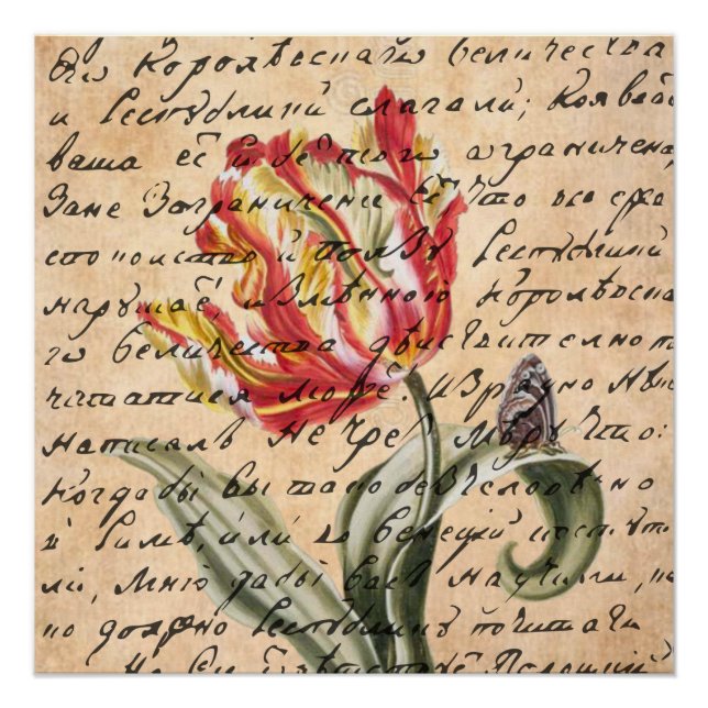 Spring Tulips and Handwriting Poster (Front)