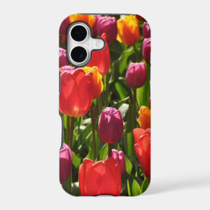 Spring tulips beauty