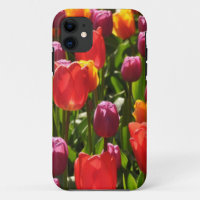 Spring tulips beauty