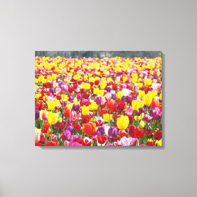 Spring Tulips Canvas Panels Custom Fine Art Print (Front)