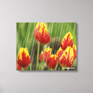 Spring Tulips Canvas Print
