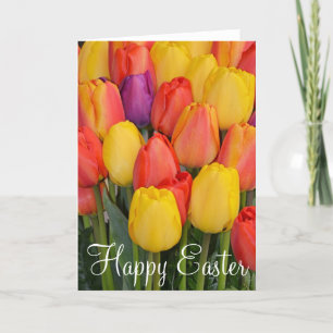 Spring tulips Easter greeting card