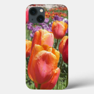 Spring Tulips iPad Air case