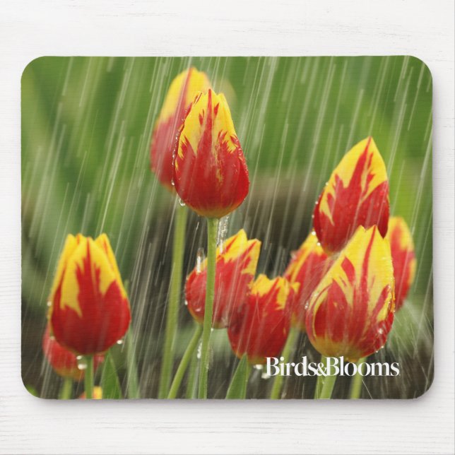 Spring Tulips Mouse Pad (Front)