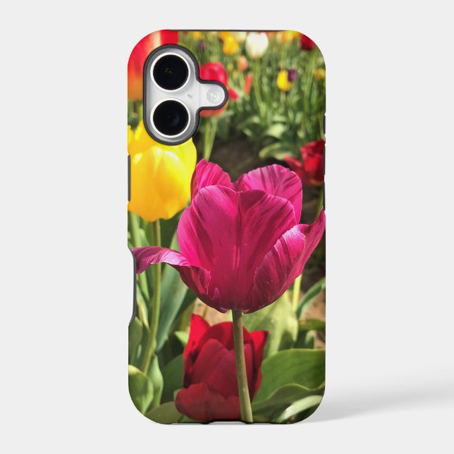 Spring Tulips, Oregon (Back)