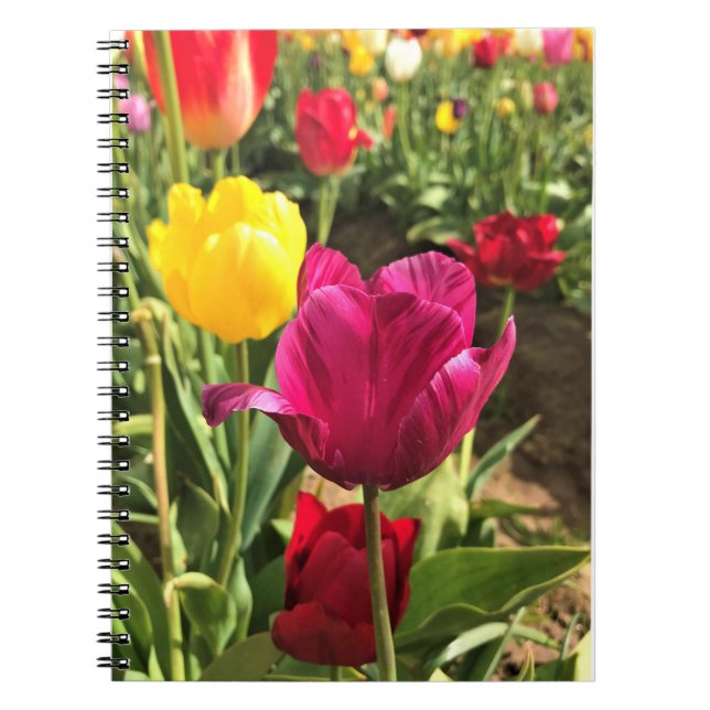 Spring Tulips, Oregon Notebook (Front)