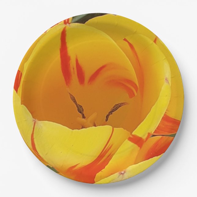 Spring Tulips Paper Plates (Front)