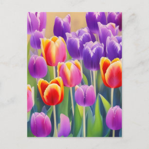 Spring Tulips Postcard