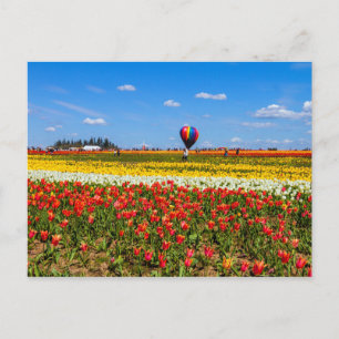 Spring Tulips Postcard