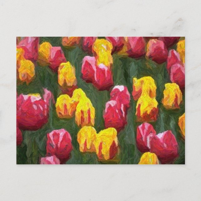 Spring Tulips Postcard (Front)