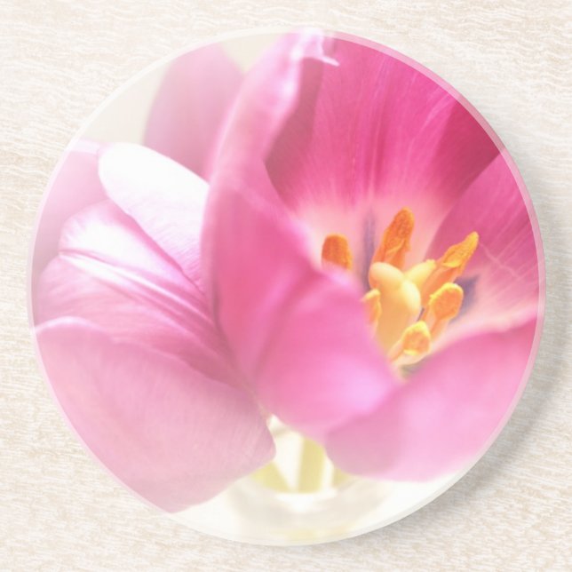 Spring Tulips Sandstone Coaster (Front)