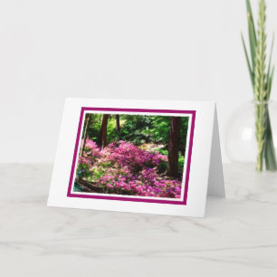 Spring Walk Blank Greeting Card