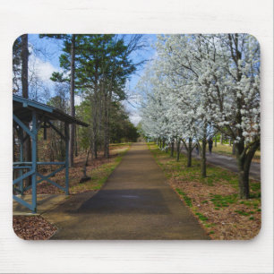 Spring Walk Mouse Pad
