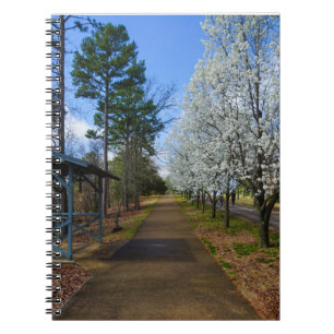 Spring Walk Spiral Notebook