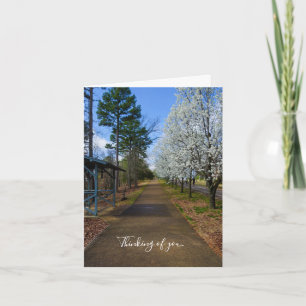 Spring Walk Thinking Of You Card