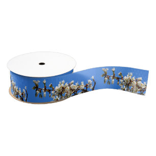 Spring white cherry Blossoms Grosgrain Ribbon