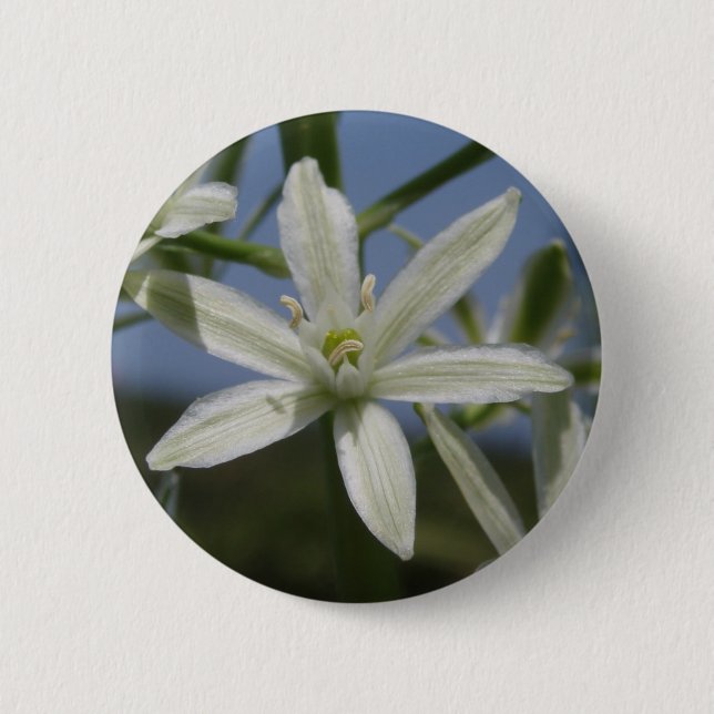 Spring White Flower Button (Front)