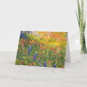 Spring Wildflowers Card