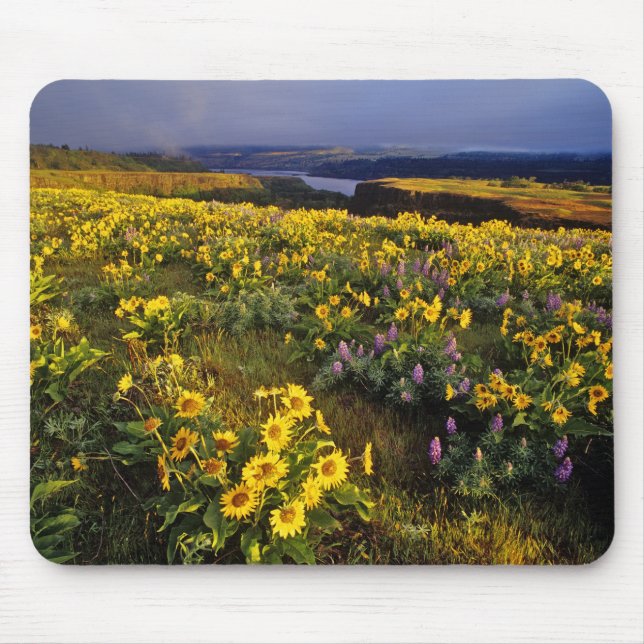 Spring wildflowers in abundance at the Tom Mouse Pad (Front)