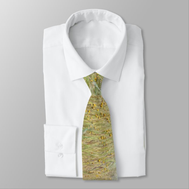 Spring Wildflowers Tie (Tied)