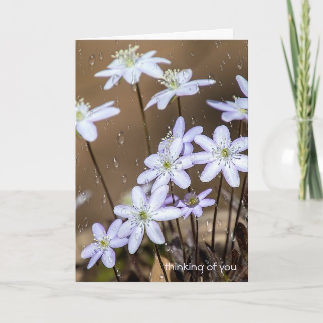 spring wildflowers with raindrops card (Front)