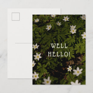 Spring woodland well hello greeting postcard