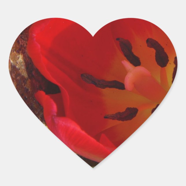 Spring yellow and Red Tulip Heart Sticker (Front)